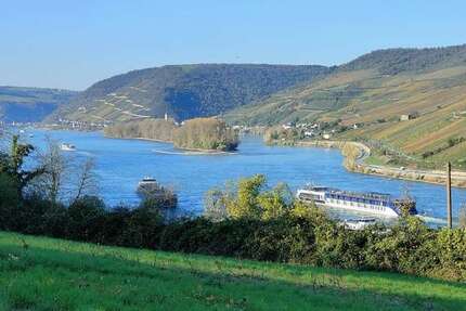 Grundstück zu verkaufen in Trechtingshausen 220.000 € 553 m² zimmer