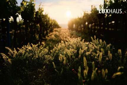 Grundstück Wiesbaden Dotzheim - 1.120.000&euro; | Angebot:26336325