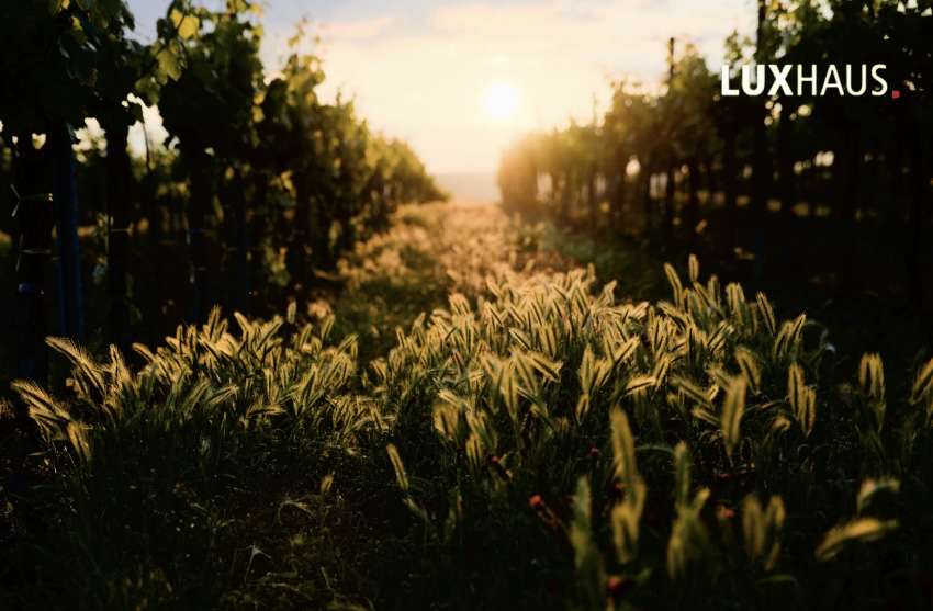 Grundstück Wiesbaden Dotzheim - 1.120.000&euro; | Angebot:26336325