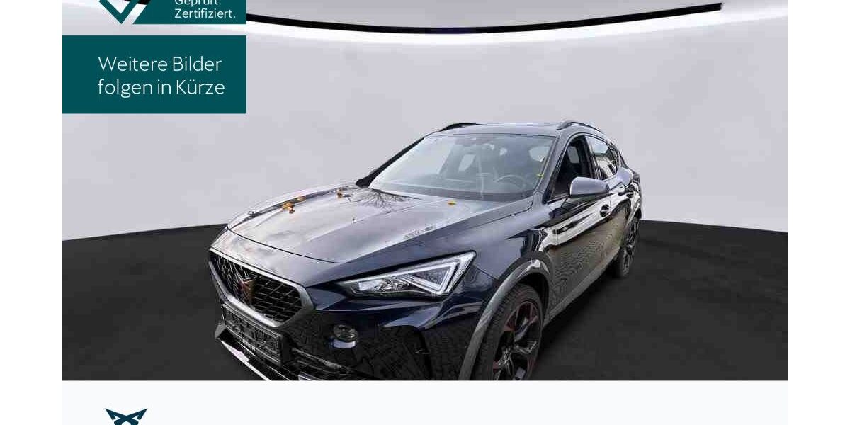 Cupra Formentor 33.024 km 27.930 &euro; Hofheim-Diedenbergen 65719