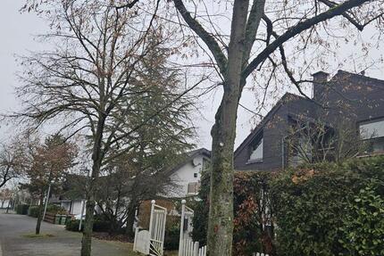 Haus Mainz Mombach - 4 Zimmer, 140 m&sup2;, 569.000&euro; | Angebot:26521088