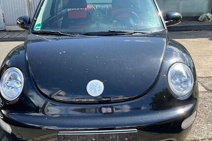 VW Beetle