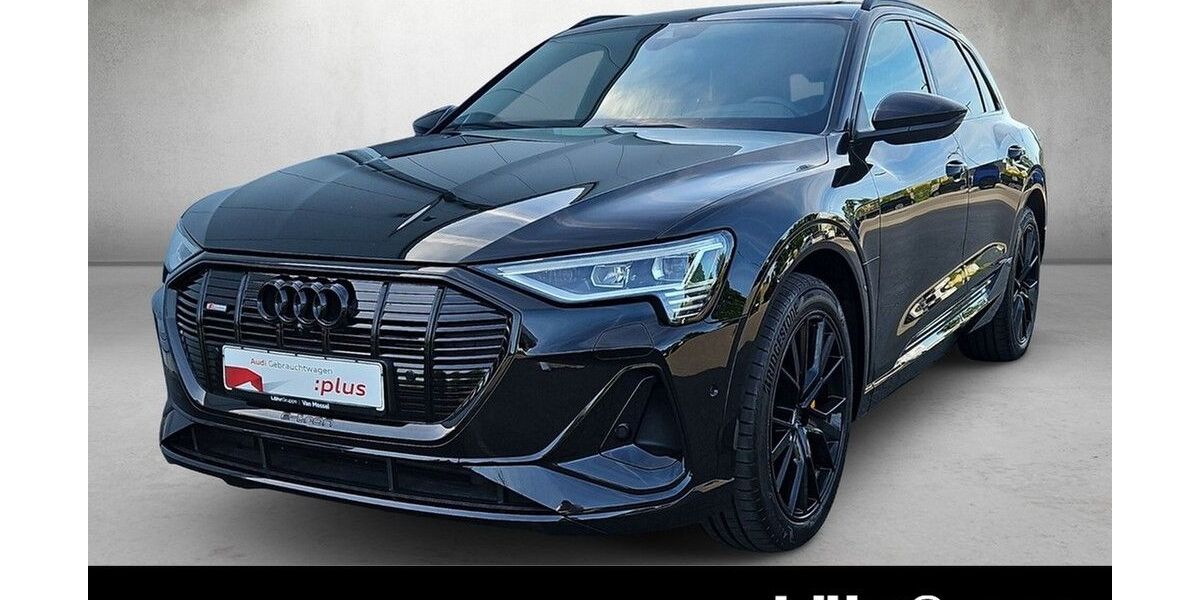 Audi e-tron 45.515 km 45.480 &euro; Mainz 55131