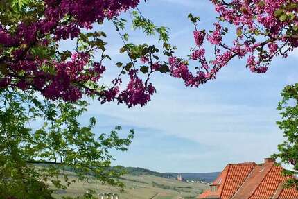 Wohnung zum Kaufen in Bingen 245.000 € 85 m² 4 zimmer