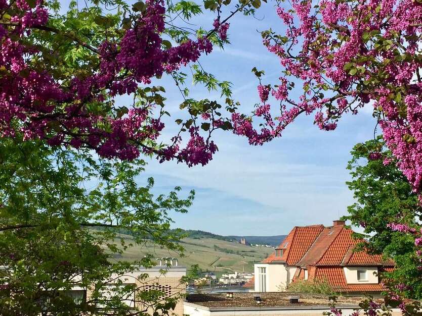 Wohnung zum Kaufen in Bingen 245.000 € 85 m² 4 zimmer