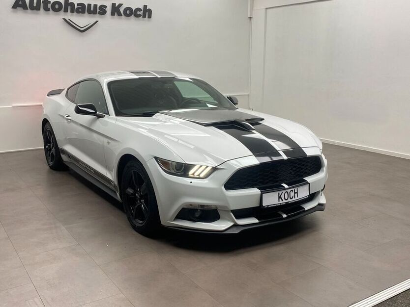 Mustang