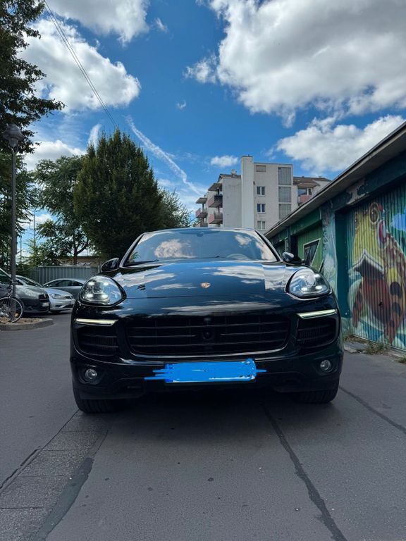 Cayenne