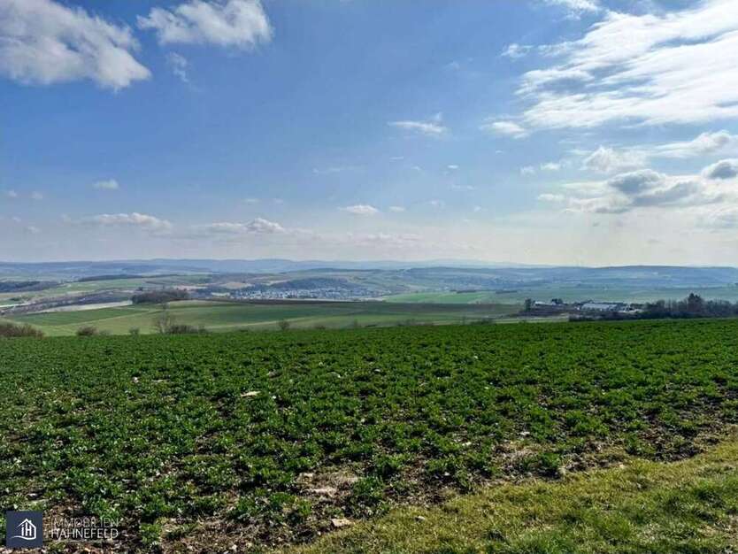 Grundstück in Hünfelden 10.000 € 4454 m²