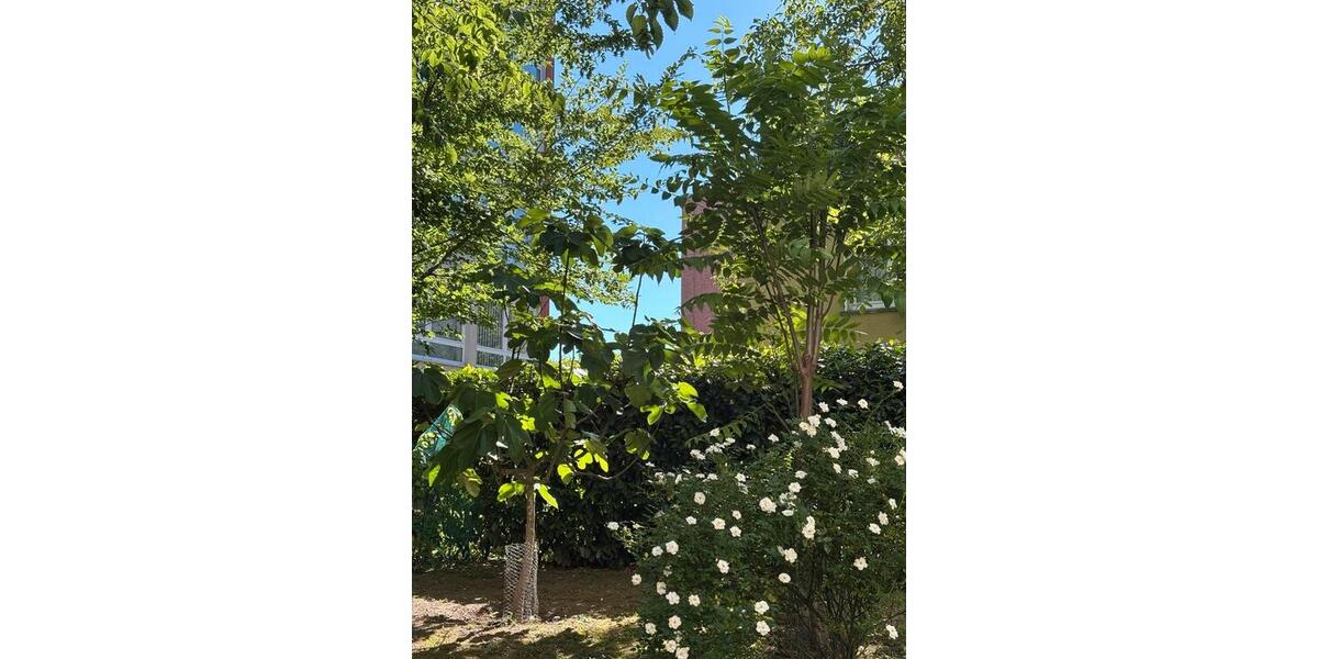 Terrassenwohnung Wiesbaden Südost - 2.5 Zimmer, 118 m&sup2;, 575.000&euro; | Angebot:26986350