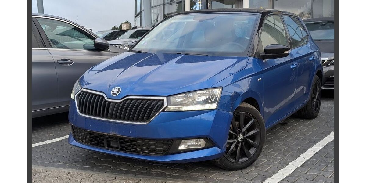 Skoda Fabia 9.063 km 13.990 &euro; Mainz 55128