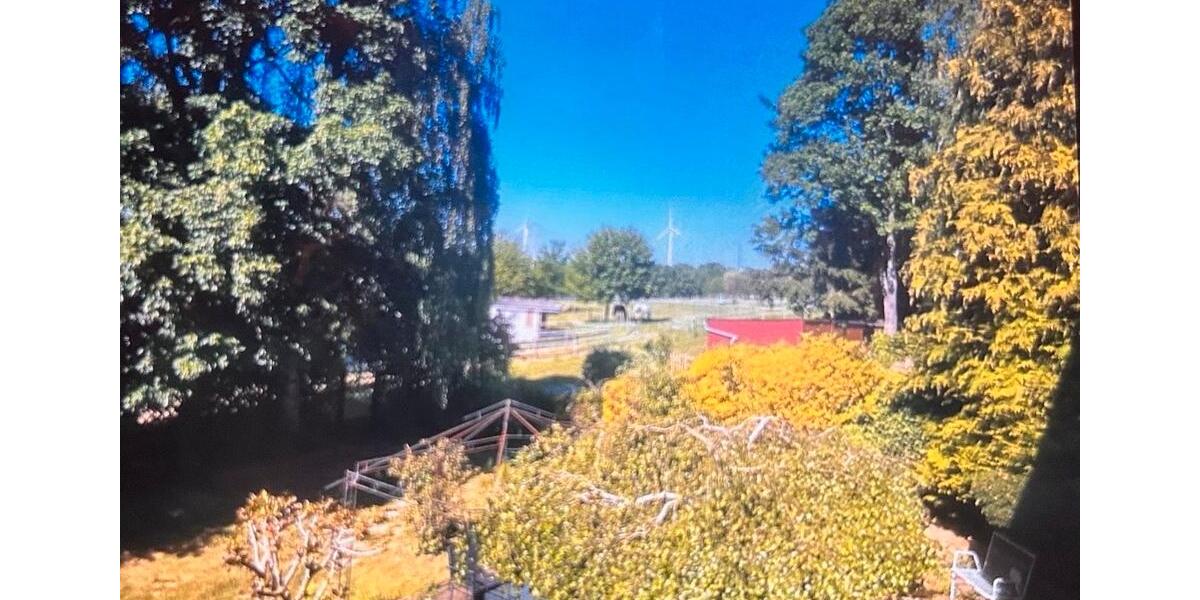 Einfamilienhaus Hünfelden - 7 Zimmer, 156 m&sup2;, 239.000&euro; | Angebot:26858325
