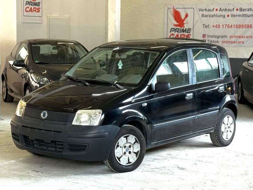 Panda