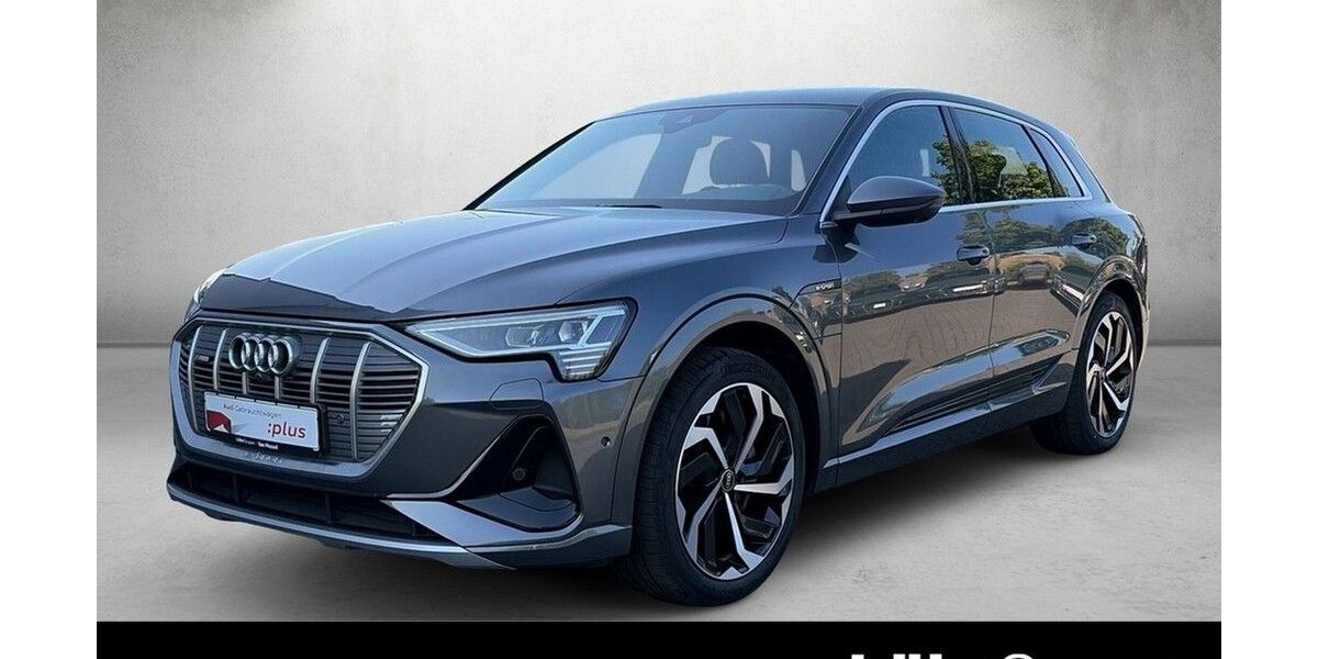 Audi e-tron 62.958 km 36.980 &euro; Mainz 55131