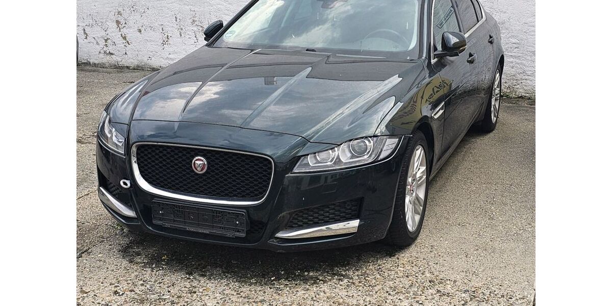 Jaguar XF 60.000 km 9.999 € Oberursel 61440