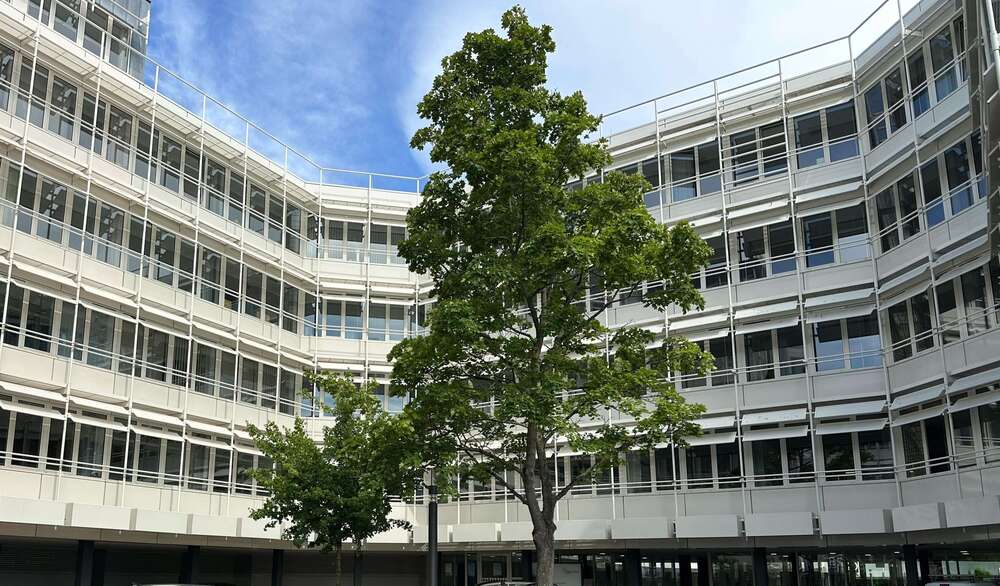 Gewerbeobjekt Mainz-Weisenau Weisenau - 7.990&euro; | Angebot:26169342