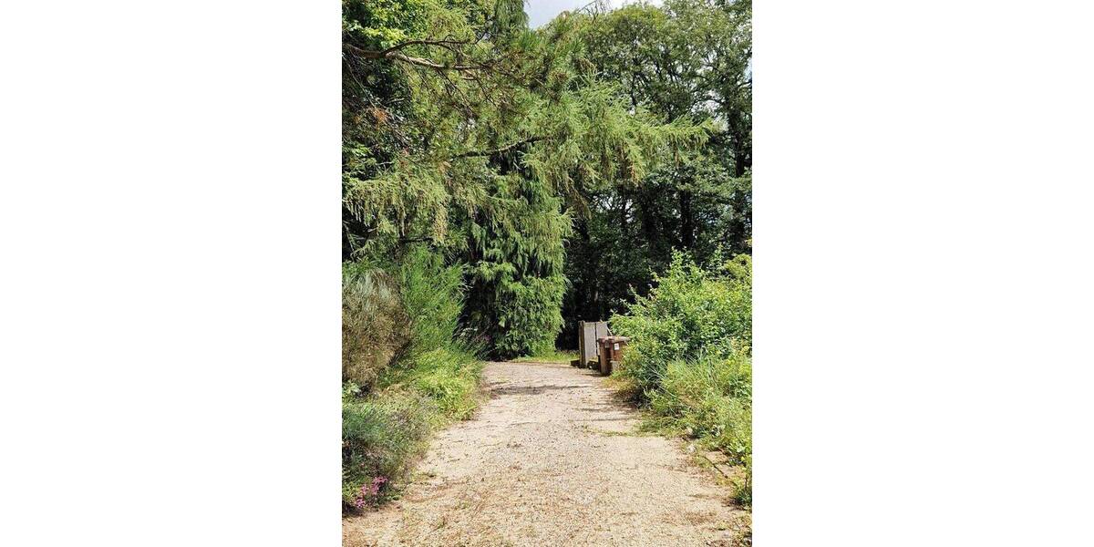Grundstück Hofheim am Taunus - Langenhain Langenhain - 695.000&euro; | Angebot:26866307