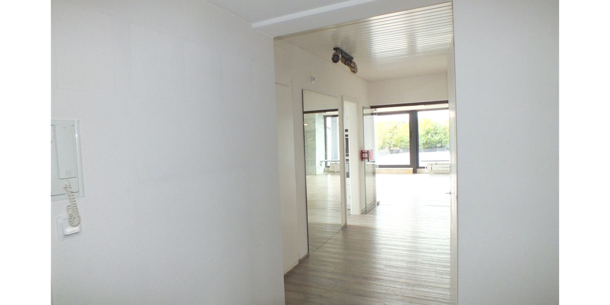 Penthouse mitten in Nauheim mit ca. 135m² Wohnfläche und 185m² Terrasse inkl. Garage - Einfamilienhaus Nauheim | Angebot:24610051