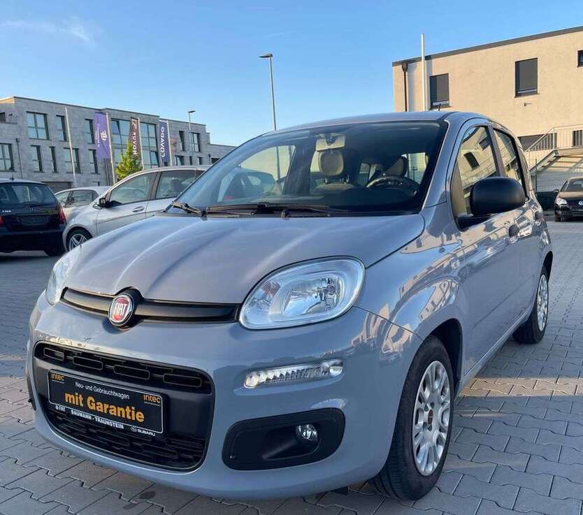 Panda