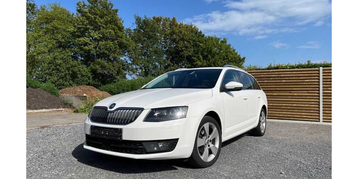 Skoda Octavia 295.000 km 6.500 &euro; Selters 65618