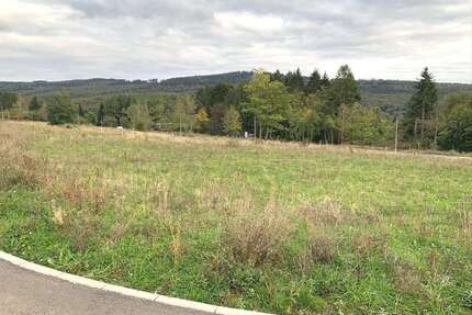 Grundstück zu verkaufen in Glashütten 350.000 € 600 m²
