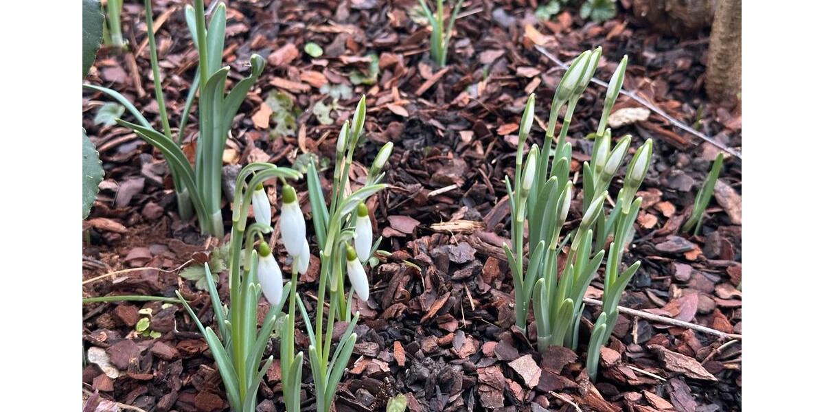 Einfamilienhaus Wiesbaden Südost - 8.5 Zimmer, 346 m&sup2;, 1.760.000&euro; | Angebot:24601262