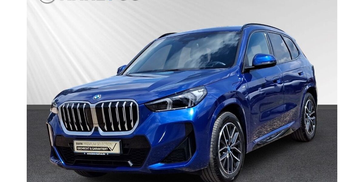BMW X1 24.866 km 49.998 &euro; Wiesbaden 65203