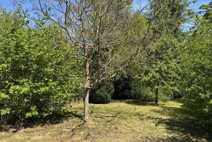 Grundstück Wiesbaden-Sonnenberg Sonnenberg - 57.000&euro; | Angebot:26396268