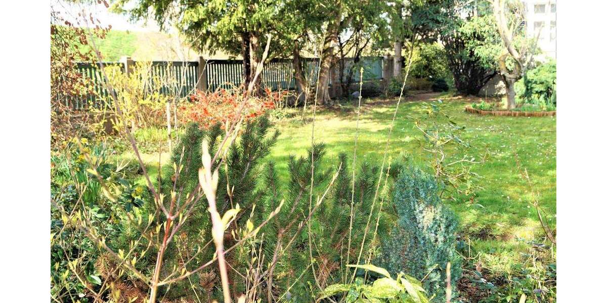 Mehrfamilienhaus, Wohnhaus Rüsselsheim - 1 Zimmer, 187 m&sup2;, 740.000&euro; | Angebot:25703545
