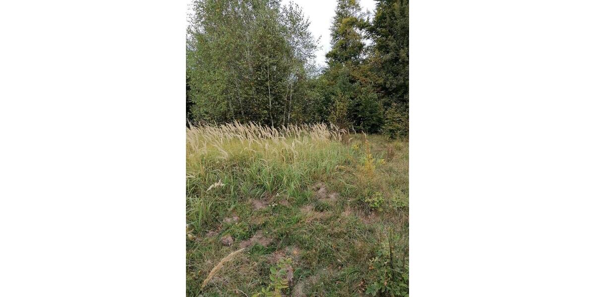 Grundstück Mainz Mombach - 60&euro; | Angebot:26019991
