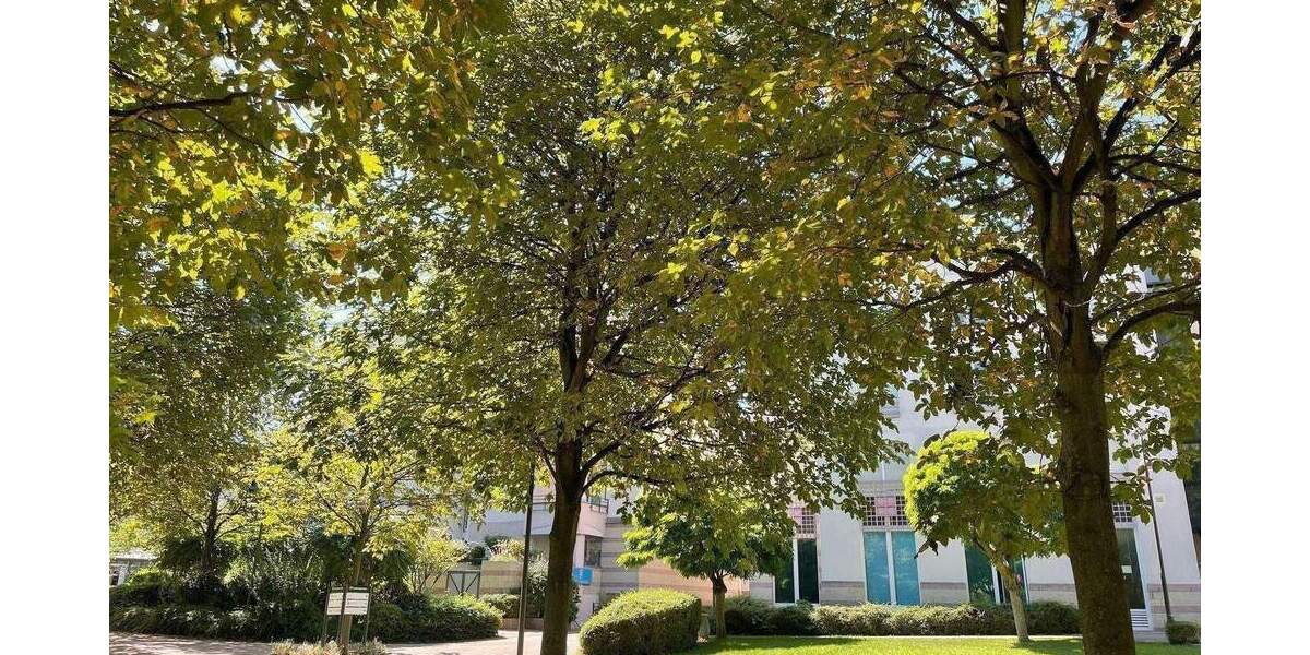 Etagenwohnung Mainz Oberstadt - 2 Zimmer, 60 m&sup2;, 339.000&euro; | Angebot:25226967