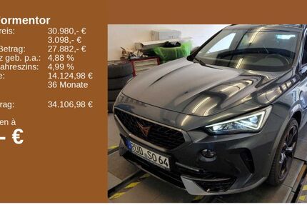Cupra Formentor 42.484 km 30.980 &euro; Mainz 55129