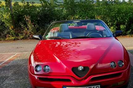 Alfa Romeo Spider 80.000 km 6.500 &euro; Bodenheim 55294