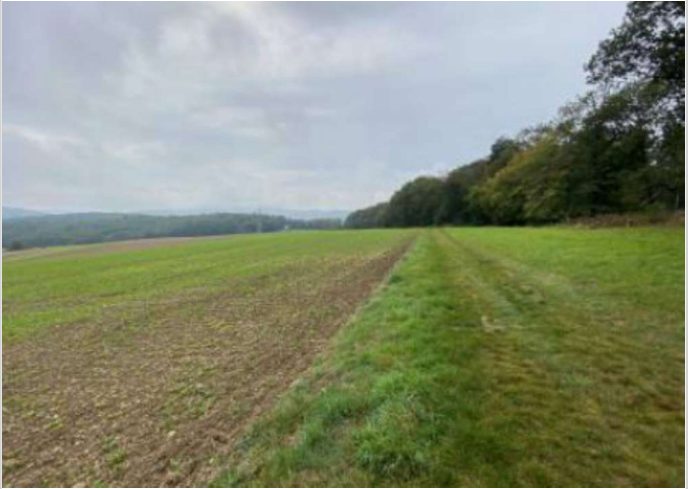 Grundstück zu verkaufen in Idstein 54.000 € 6757 m²