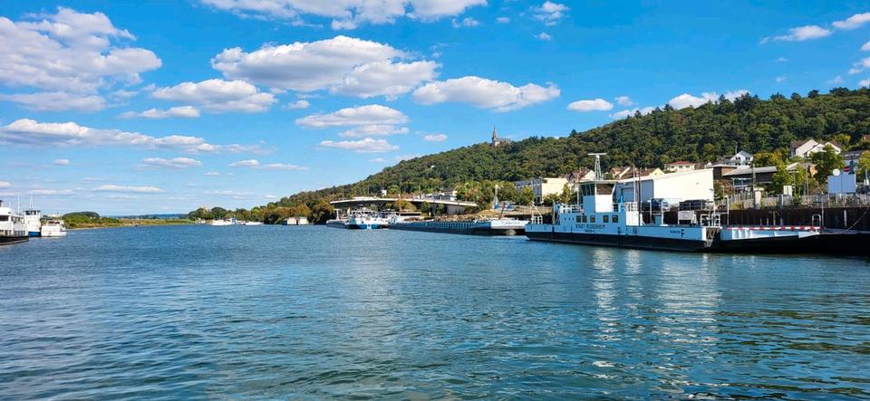 Reihenhaus Bingen am Rhein - 5 Zimmer, 120 m&sup2;, 2.160&euro; | Angebot:25405917