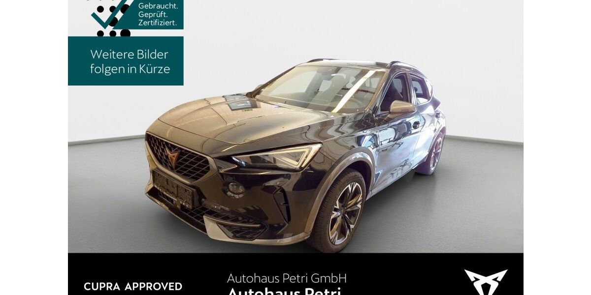 Cupra Formentor 40.335 km 23.940 &euro; Hofheim-Diedenbergen 65719
