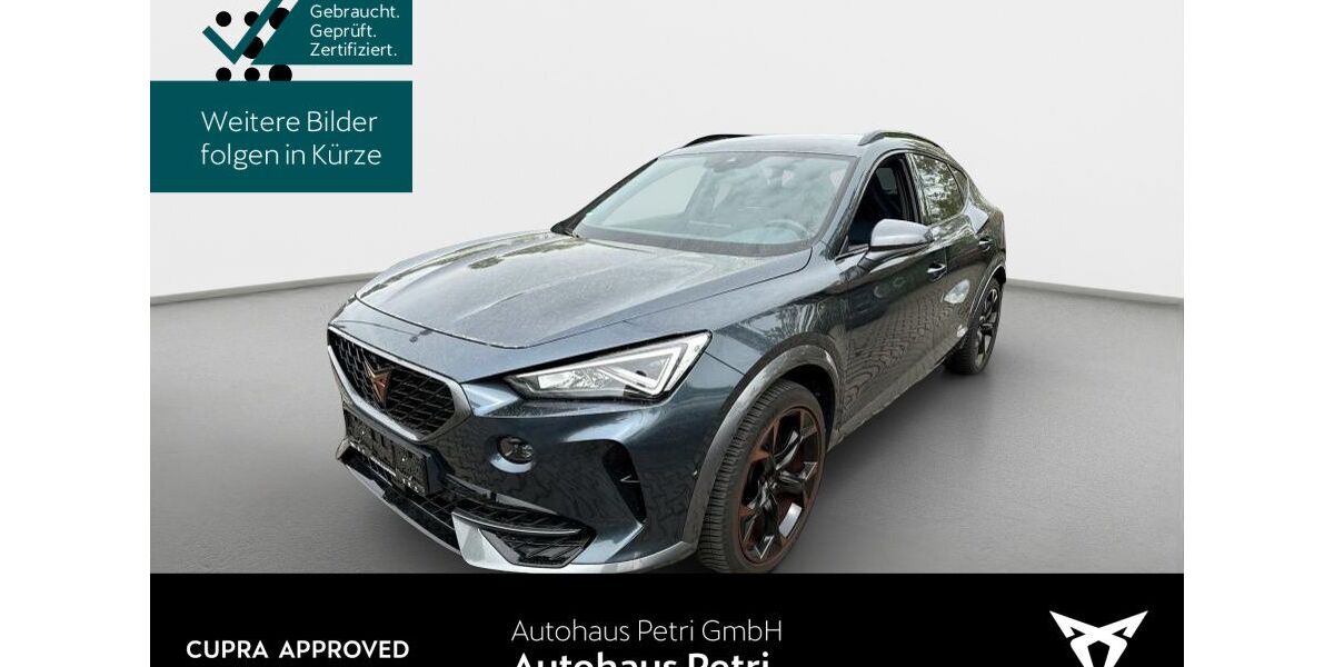 Cupra Formentor 32.083 km 24.540 &euro; Hofheim-Diedenbergen 65719