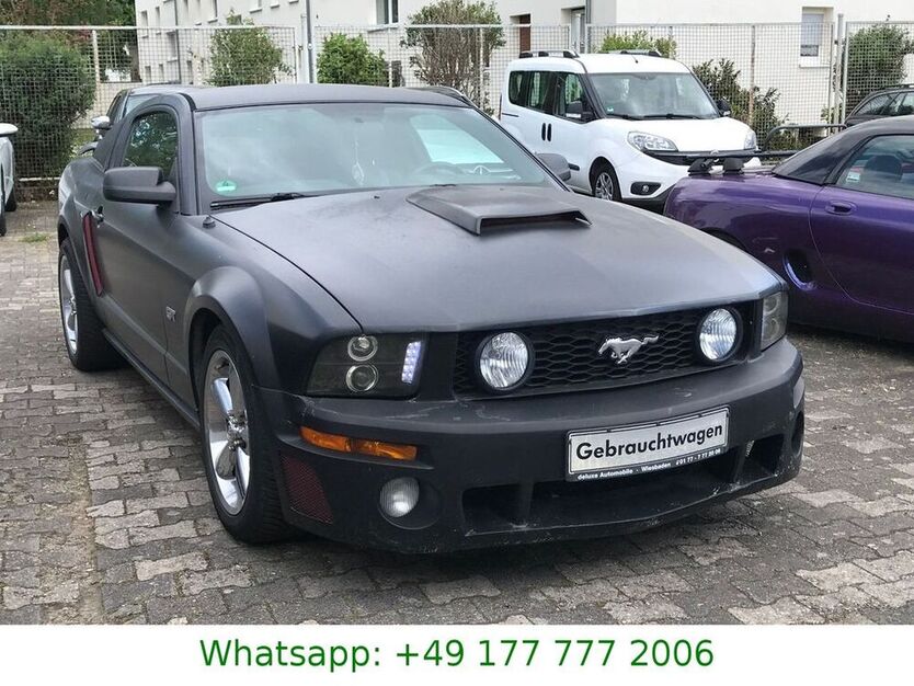 Mustang