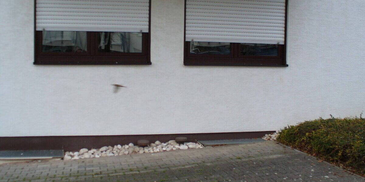 Etagenwohnung Mainz Hechtsheim - 2 Zimmer, 49 m&sup2;, 208.000&euro; | Angebot:26542407