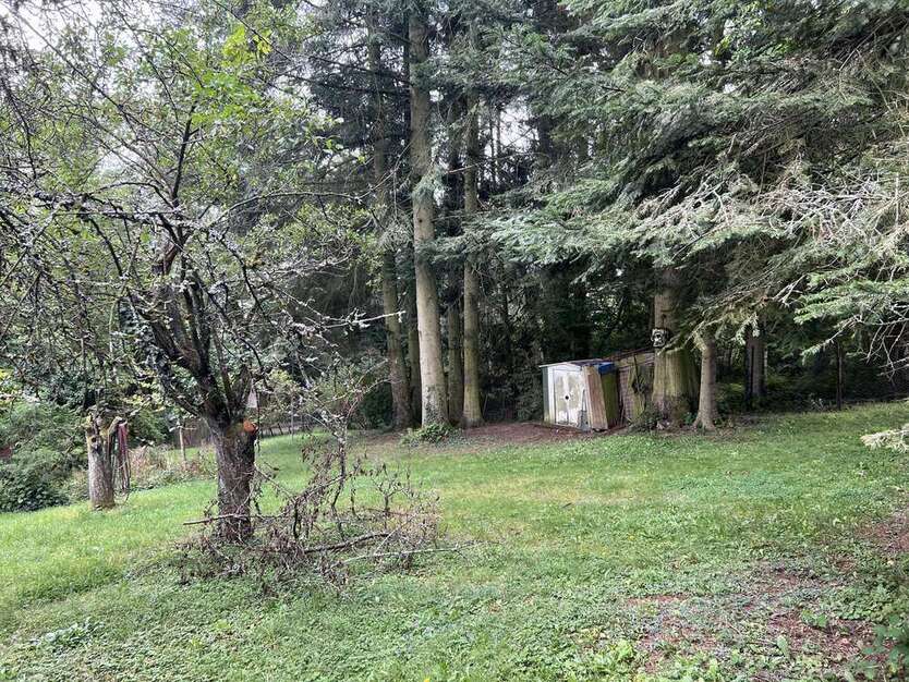 Grundstück zu verkaufen in Hallgarten 179.000 € 795 m²