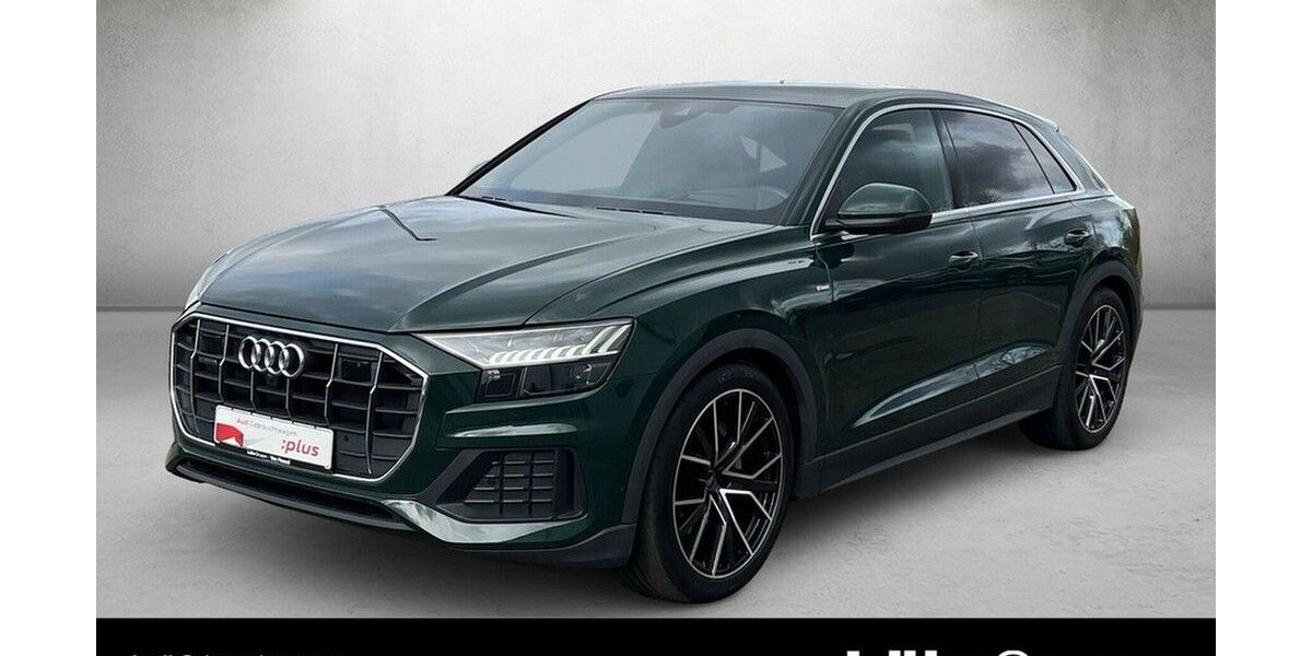 Audi Q8 55.367 km 55.980 &euro; Mainz 55131