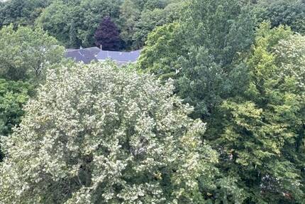 Sonnige 3,5 Zimmer mit Loggia & Weitblick - Ruhige Lage in Schwalbach 3 zimmer