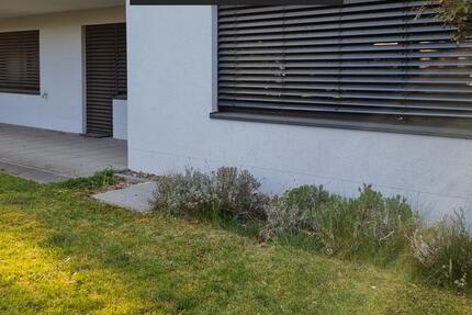 Arbeiten im Grünen: Büroeinheit mit eigener Terrasse in Gonsenheim zimmer