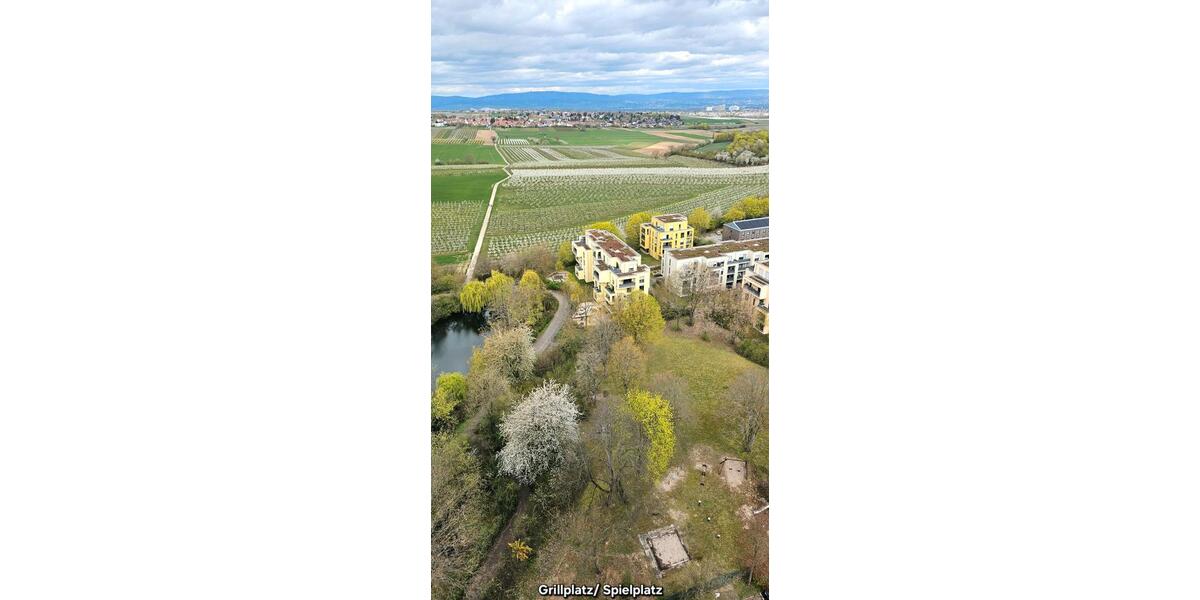 Etagenwohnung Mainz Lerchenberg - 5 Zimmer, 118 m&sup2;, 459.000&euro; | Angebot:26258959