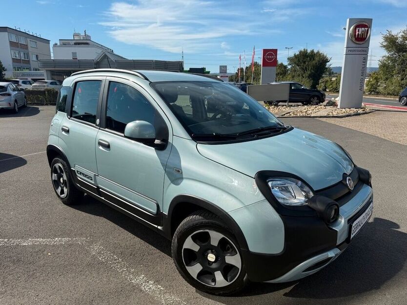 Panda
