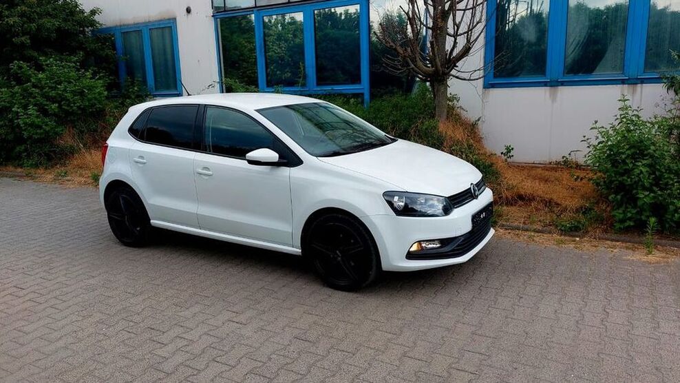 Polo