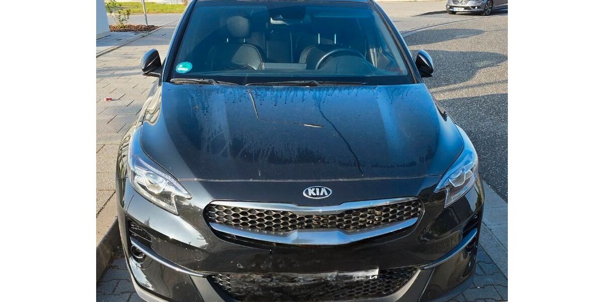 Kia XCeed 43.000 km 21.000 &euro; Flörsheim am Main 65439