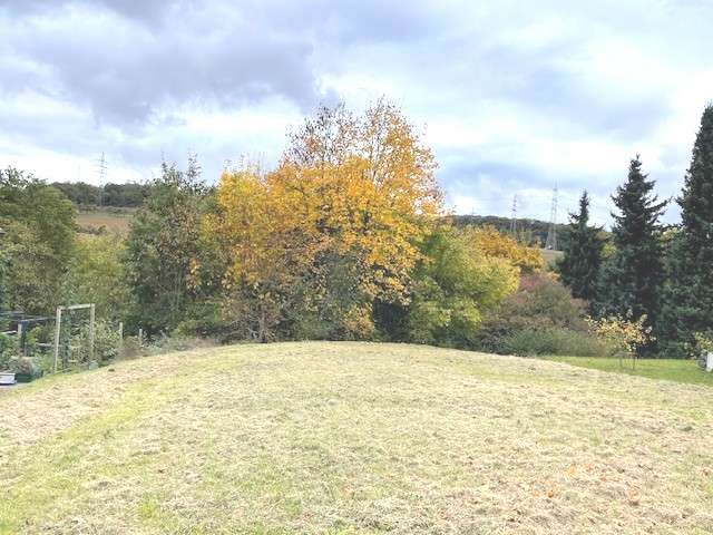 Grundstück Eppstein - 329.500&euro; | Angebot:26319374