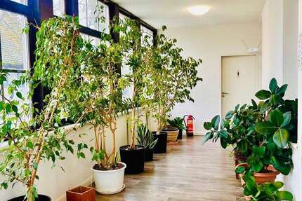 Gewerbeobjekt Groß-Gerau Gerau - 950.000&euro; | Angebot:25766978