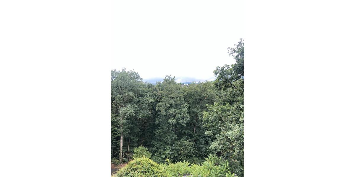 Etagenwohnung Königstein im Taunus - 4 Zimmer, 130 m&sup2;, 2.280&euro; | Angebot:25945191