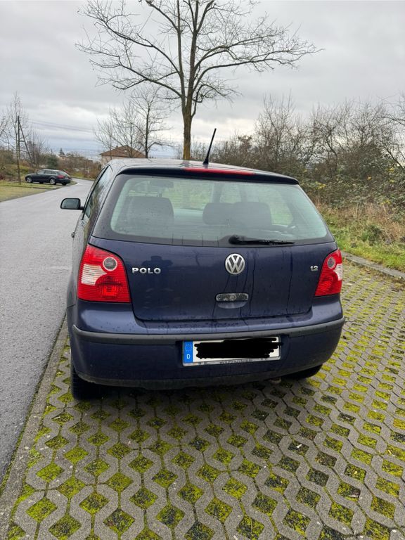 Polo